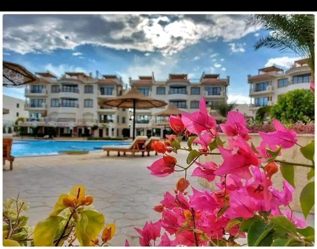 Апартаменты Sharm Hills Экстерьер фото